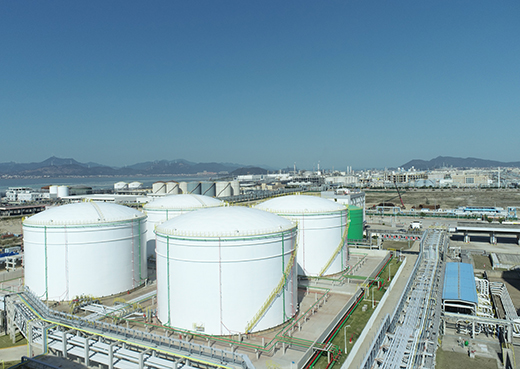 67381����-��Ϸ�ٷ���վ